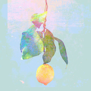 临盆孕妇孕交⭕⭕❌❌
